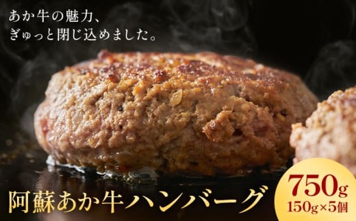 阿蘇あか牛ハンバーグ 750g 150g × 5個 株式会社LARKS《30日以内に出荷予定(土日祝除く)》ハンバーグ あか牛 牛肉 熊本県 冷凍 熊本県菊池市13000肉牛肉
