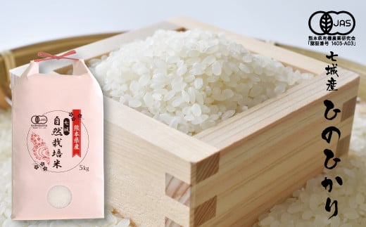 【玄米】【令和7年産】有機JAS 七城産 ひのひかり 5kg《30日以内に出荷予定(土日祝除く)》熊本県菊池市20000米・パン白米