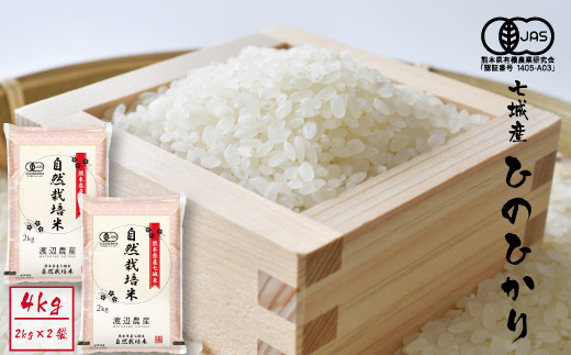 【精米】【令和7年産】有機JAS 七城産 ひのひかり 4kg(2kg×2袋)《30日以内に出荷予定(土日祝除く)》熊本県菊池市14000米・パン白米