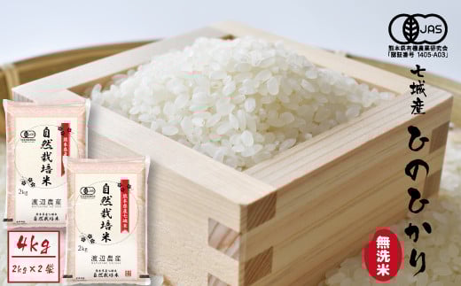 【令和7年産】【無洗米】有機JAS 七城産 ひのひかり 4kg(2kg×2袋)《30日以内に出荷予定(土日祝除く)》熊本県菊池市16000米・パン白米