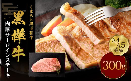 くまもと黒毛和牛 杉本本店 黒樺牛 A4~A5等級 肉厚サーロインステーキ 300g st-p熊本県菊池市17500肉牛肉
