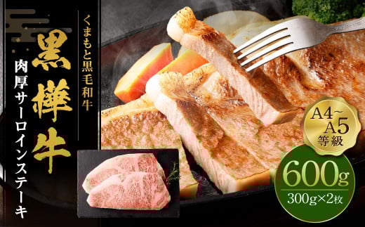 くまもと黒毛和牛 杉本本店 黒樺牛 A4~A5等級 肉厚サーロインステーキ 300g×2 計600g st-p熊本県菊池市33500肉牛肉