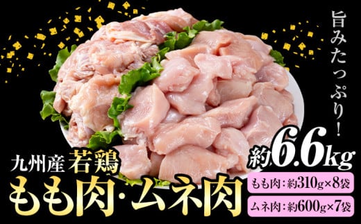 九州産 若鶏もも肉 約2.48kg(約310g×8袋)、若鶏むね肉 約4.2kg(約600g×7袋)合計約6.6kg 《90日以内に出荷予定(土日祝除く)》熊本県菊池市20000肉鶏肉