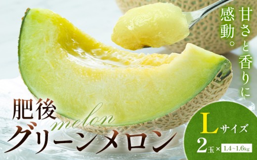 メロン 肥後グリーンメロン 中 Lサイズ 2玉 約1.4〜1.6kg×2 MOTOYAMA358FARM 《2026年4月中旬-6月中旬頃出荷》 熊本県 菊池市 メロン 果物 フルーツ 九州産 国産 熊本県菊池市14000果物・フルーツメロ