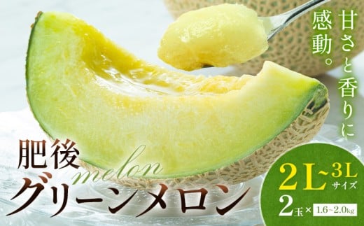 【先行予約】メロン 肥後グリーンメロン 大 2L 〜 3L サイズ 2玉 約1.6〜2kg×2 MOTOYAMA358FARM 《2026年4月中旬-6月中旬頃出荷》 熊本県 菊池市 メロン 果物 フルーツ 九州産 国産 熊本県菊池市15500果