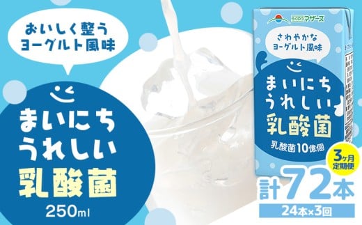 常温保存可能【1ヶ月毎3回定期便】まいにちうれしい 乳酸菌 ヨーグルト風味 250ml×24本 計72本 合同会社たべたせいか《お申し込みの翌月から出荷》熊本県 菊池市 紙パック ヨーグルト飲料