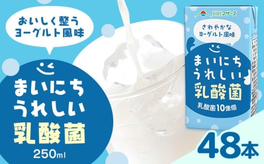 常温保存可能 まいにちうれしい 乳酸菌 ヨーグルト風味 250ml×48本 合同会社たべたせいか《30日以内に出荷予定(土日祝除く)》熊本県 菊池市 紙パック ヨーグルト飲料 乳酸菌 ドリンク 飲み物