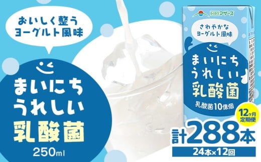 常温保存可能【1ヶ月毎12回定期便】まいにちうれしい 乳酸菌 ヨーグルト風味 250ml×24本 計288本 合同会社たべたせいか《お申し込みの翌月から出荷》熊本県 菊池市 紙パック ヨーグルト飲料