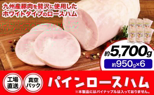 パインロースハム 6個 (1個約950g) ロース ハム ブロック 豚ロース 豚肉 真空パック 福留ハム 工場直送 冷蔵 国内製造  《30日以内に出荷予定(土日祝除く)》熊本県菊池市72000肉加工肉(ハム・