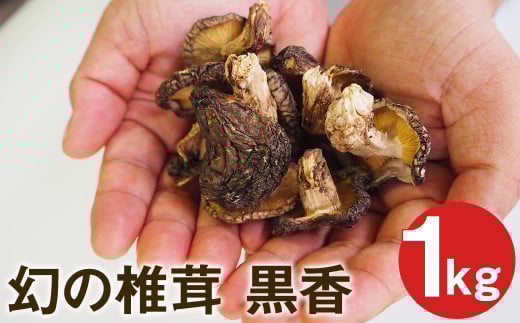 幻の椎茸 黒香 1kg 希少品種の乾燥椎茸 しいたけ きのこ熊本県菊池市30000野菜・きのこきのこ