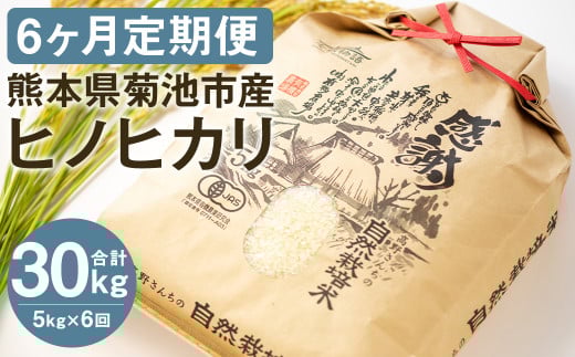 【通常パック】【定期便6ヶ月】七城物語 高野さんちの 自然栽培米 (精米) 5kg (2.5kg×2パック)  合計30kg お米 米 精米 白米 ヒノヒカリ熊本県菊池市96000米・パン白米