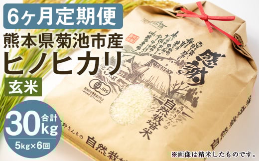 【真空パック】【定期便6ヶ月】七城物語 高野さんちの 自然栽培米 (玄米) 5kg (2.5kg×2パック) 合計30kg お米 米 玄米 ヒノヒカリ熊本県菊池市96000米・パン白米