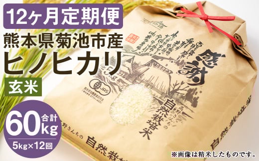 【真空パック】【定期便12ヶ月】七城物語 高野さんちの 自然栽培米 (玄米) 5kg (2.5kg×2パック) 合計60kg お米 米 玄米 ヒノヒカリ熊本県菊池市192000米・パン白米