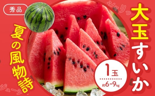【先行予約】スイカ 大玉すいか 秀品 1玉 約 6kg 〜 9kg 株式会社Foody’s 食彩たかみ 《2026年5月下旬-7月下旬頃出荷》 熊本県 菊池市 フルーツ 果物 スイカ すいか 大玉 九州産 冷蔵 熊本県菊池
