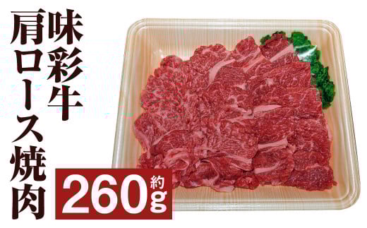 ʋ [Xē 260g    ɂ [X Ă ₫ɂ ēp ē F{ ersY st-pF{ers10000
