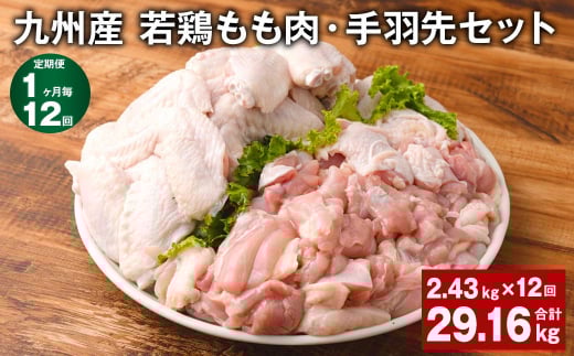 【1ヶ月毎12回定期便】 九州産 若鶏もも肉・手羽先セット 計約29.16kg(約2.43kg×12回) 鶏肉 もも肉 手羽先【お申込み翌月から出荷】熊本県菊池市152500肉鶏肉