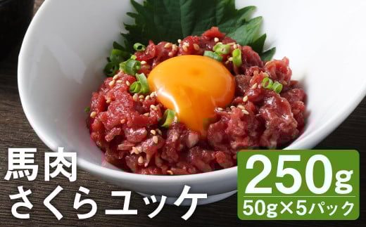 【ふるさと納税】馬肉さくらユッケ 合計250g 50g×5パック 《90日以内に出荷予定(土日祝除く)》小分け 馬肉 ユッケ 赤身 カット済み 冷凍熊本県菊池市12000肉ジビエ