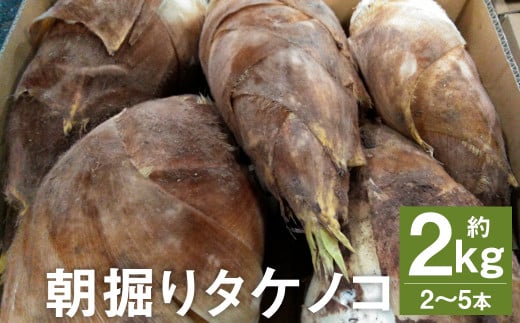 @ ^PmR 2kgi2`5{jy2026N4{菇z  ₳ ̂  ^PmR F{Y Y st-pF{ers9500؁Ê̑ 