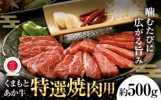 G21Q 厳選されたGI認証 くまもと あか牛 特選 焼肉用 約500g 牛肉 肉 お肉 焼き肉 焼肉 国産牛《90日以内に出荷予定(土日祝除く)》熊本県菊池市25000肉牛肉