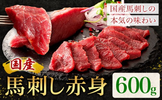 国産 馬刺し 赤身 600g 亀井通産株式会社(株式会社フジチク) 《30日以内に出荷予定(土日祝除く)》 小分け 馬肉 刺身 冷凍 熊本県 菊池市 熊本県菊池市18000肉ジビエ