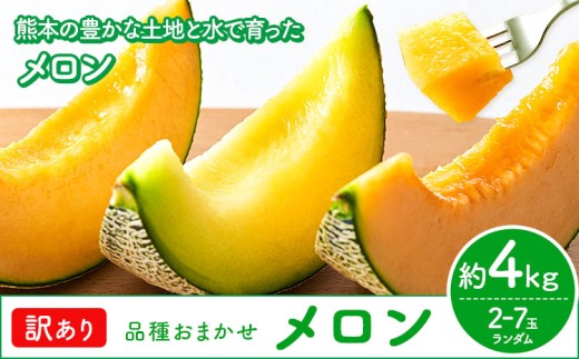 【先行予約】メロン 訳ありメロン 品種おまかせ 約4kg 2-7玉 ランダム 株式会社Foody’s 食彩たかみ《2026年5月下旬-7月下旬頃出荷》 おまかせ ご家庭用 メロン フルーツ 菊池市産 熊本県産 九州