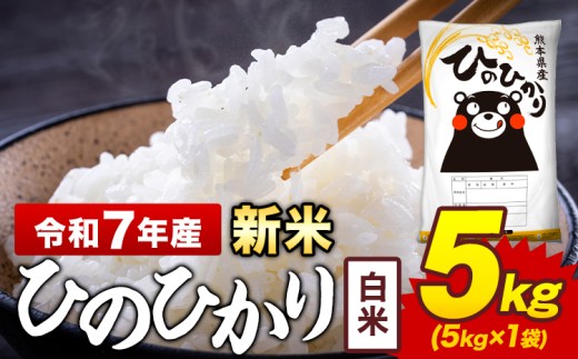 新米 令和7年産 白米 米 ひのひかり 5kg《12月中旬-2月末頃出荷》熊本県 菊池市 国産 熊本県産 白米 精米  ヒノヒカリ こめ お米熊本県菊池市12000米・パン白米