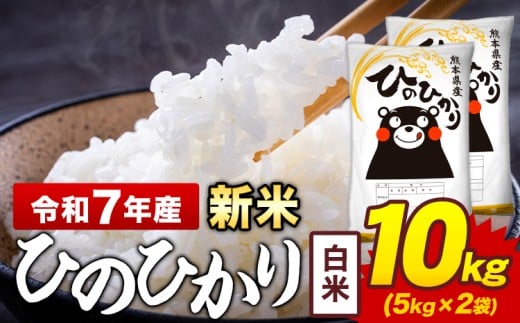 新米 令和7年産 白米 米 ひのひかり 10kg《12月中旬-2月末頃出荷》熊本県 菊池市 国産 熊本県産 白米 精米  ヒノヒカリ こめ お米熊本県菊池市23000米・パン白米