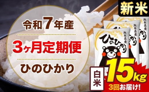 【3ヶ月定期便】新米 令和7年産 白米 15kg 米 ひのひかり《1月から出荷開始》熊本県 菊池市 国産 熊本県産 白米 精米 無洗米  ヒノヒカリ こめ お米熊本県菊池市102000米・パン白米