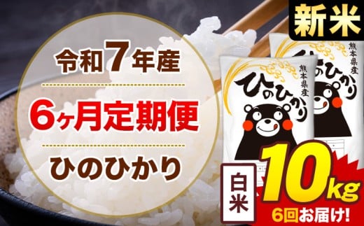 【6ヶ月定期便】新米 令和7年産 白米 10kg 米 ひのひかり《1月から出荷開始》熊本県 菊池市 国産 熊本県産 白米 精米 無洗米  ヒノヒカリ こめ お米熊本県菊池市138000米・パン白米