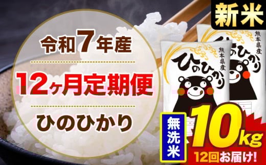 【12ヶ月定期便】新米 令和7年産 無洗米 10kg 米 ひのひかり《1月から出荷開始》熊本県 菊池市 国産 熊本県産 白米 精米 無洗米  ヒノヒカリ こめ お米熊本県菊池市276000米・パン白米