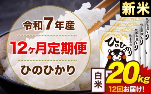 【12ヶ月定期便】新米 令和7年産 白米 20kg 米 ひのひかり《1月から出荷開始》熊本県 菊池市 国産 熊本県産 白米 精米 無洗米  ヒノヒカリ こめ お米熊本県菊池市540000米・パン白米