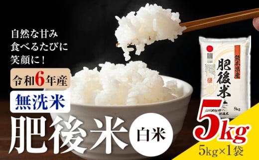 熊本県産 肥後米 無洗米 白米 5kg 1袋5kg 米 お米 令和6年産 九州産 熊本県産 【30日以内に出荷予定(土日祝除く)】 無洗米 白米 米熊本県菊池市18500米・パン白米