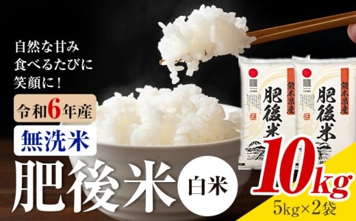 熊本県産 肥後米 無洗米 白米 10kg 1袋5kg 米 お米 令和6年産 九州産 熊本県産 【30日以内に出荷予定(土日祝除く)】 無洗米 白米 米熊本県菊池市37000米・パン白米