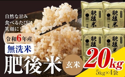 熊本県産 肥後米 無洗米 玄米 20kg 1袋5kg 米 お米 令和6年産 九州産 熊本県産 【30日以内に出荷予定(土日祝除く)】玄米 無洗米 米熊本県菊池市70000米・パン白米