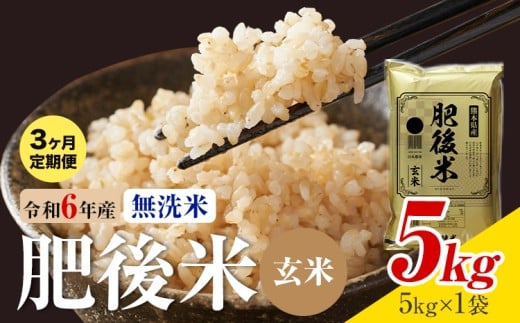 【3ヶ月定期便】熊本県産 肥後米 無洗米 玄米 5kg 1袋5kg 米 お米 令和6年産 九州産 熊本県産 《お申込み翌月に出荷予定》玄米 無洗米 米熊本県菊池市55000米・パン白米