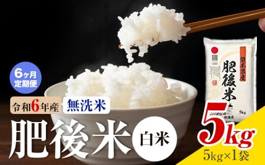 【6ヶ月定期便】熊本県産 肥後米 無洗米 白米 5kg 1袋5kg 米 お米 令和6年産 九州産 熊本県産 《お申込み翌月に出荷予定》 無洗米 白米 米熊本県菊池市110000米・パン白米