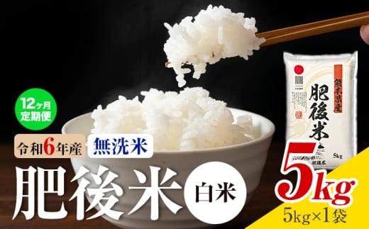 【12ヶ月定期便】熊本県産 肥後米 無洗米 白米 5kg 1袋5kg 米 お米 令和6年産 九州産 熊本県産 《お申込み翌月に出荷予定》 無洗米 白米 米熊本県菊池市220000米・パン白米