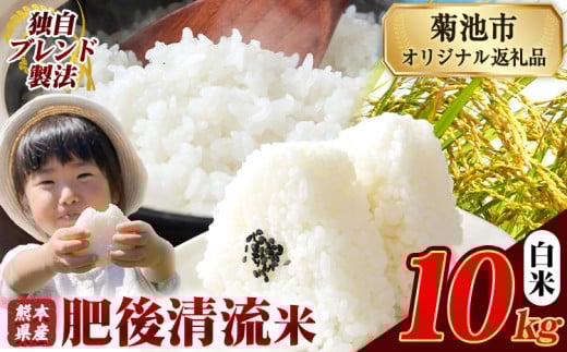 熊本県産 白米 肥後清流米 10kg 熊本県産 ふるさと納税 精米 米 こめ ふるさとのうぜい コメ お米 おこめ《12月中旬-2月末頃出荷》熊本県菊池市22000米・パン白米