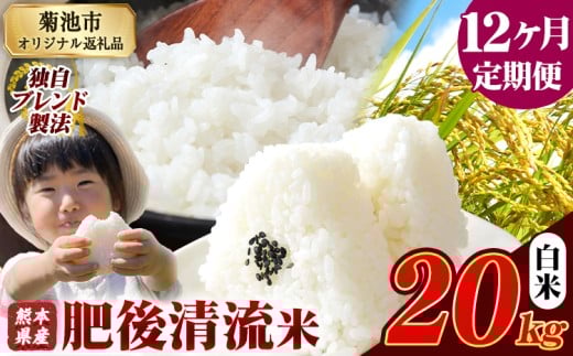 y12ցzF{Y  㐴 20kg F{Y ӂ邳Ɣ[    ӂ邳Ƃ̂ R  ߁s1o׊JntF{ers528000āEp