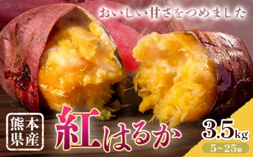 さつまいも 熊本県産 紅はるか 3.5kg 日本フルーツ株式会社《11月中旬-6月上旬頃出荷》熊本県 菊池市 さつまいも 薩摩芋 からいも 紅はるか デザート 料理 おやつ 蜜芋 野菜 芋 いも熊本県菊