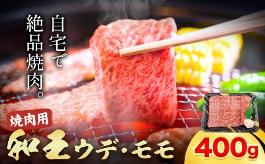 熊本県産A5等級和王 ウデ・モモ 焼肉用 約400g (約400g×1パック) 帝神志方ミート株式会社《90日以内に出荷予定(土日祝除く)》熊本県 菊池市 牛肉 肉 お肉 和牛 くまもと黒毛和牛 熊本県産 A5 和