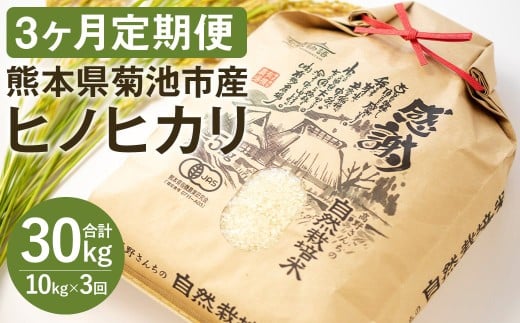 yʏpbP[Wzy3zߘa7NY 镨 삳񂿂 R͔|  10kg 2.5kg×4pbN v30kg     qmqJF{ers96000āEp