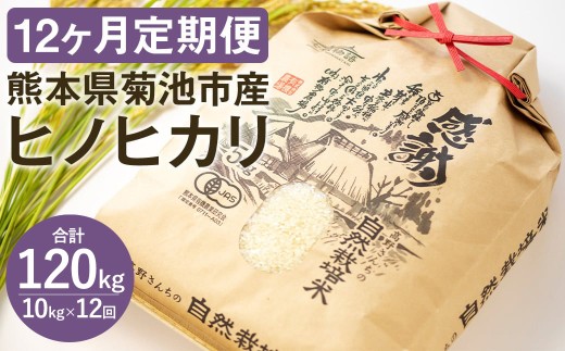 yʏpbP[Wzy12zߘa7NY 镨 삳񂿂 R͔|  10kg 2.5kg×4pbN v120kg     qmqJF{ers384000āEp