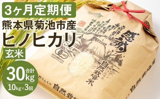 【通常パッケージ】【定期便3ヶ月】令和7年産 七城物語 高野さんちの 自然栽培米 (玄米) 10kg (2.5kg×4パック)  合計30kg お米 米 玄米 ヒノヒカリ熊本県菊池市96000米・パン白米