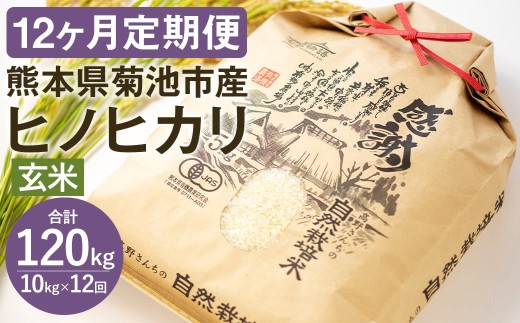 【通常パッケージ】【定期便12ヶ月】令和7年産 七城物語 高野さんちの 自然栽培米 (玄米) 10kg (2.5kg×4パック)  合計120kg お米 米 玄米 ヒノヒカリ熊本県菊池市384000米・パン白米