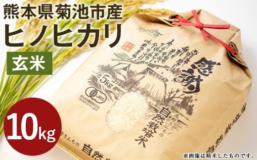 【真空パック】令和7年産 熊本県菊池産 ヒノヒカリ 玄米 10kg 七城物語 高野さんちの自然栽培米 玄米 お米 こめ コメ 米熊本県菊池市32000米・パン玄米・雑穀米・もち米・餅
