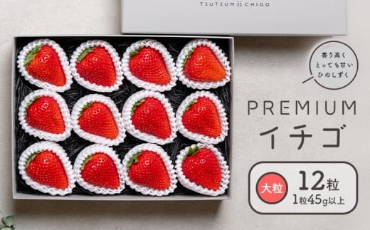 PREMIUMイチゴ ひのしずく 約45g×12玉 いちご イチゴ 苺《2025年12月発送予定》ヴァリアス株式会社 果物 くだもの フルーツ 希少 ギフト プレゼント 贈り物 国産 九州産 熊本県 菊池市 熊本県菊
