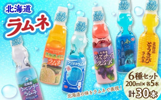 北海道 ラムネ 6種セット 各200ml×5本ずつ (北海道メロン、ハスカップ、ラベンダー、青の洞窟、クリオネ、とうきび)北海道小樽市30000お茶・飲料その他 お茶・飲料