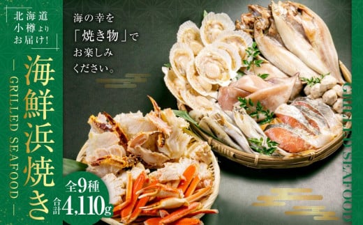 y770zkCM肨͂I CNlĂZbg H0080272kCMs45000ECYJj