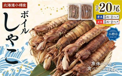ボイル しゃこ オス・メス 合計20尾 (各10尾)北海道小樽市24000魚介・海産物貝類